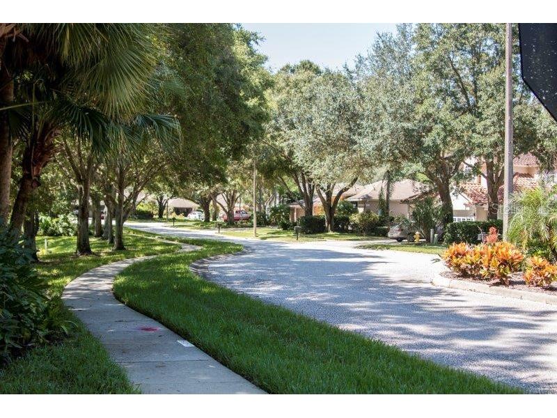 3749 Pendlebury Drive Palm Harbor FL 34685 TB8499308 image48