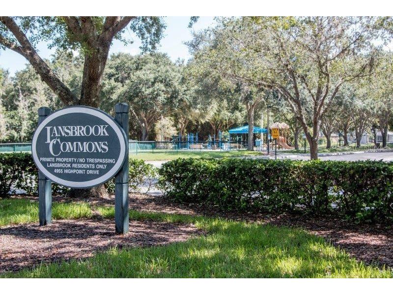 3749 Pendlebury Drive Palm Harbor FL 34685 TB8499308 image49