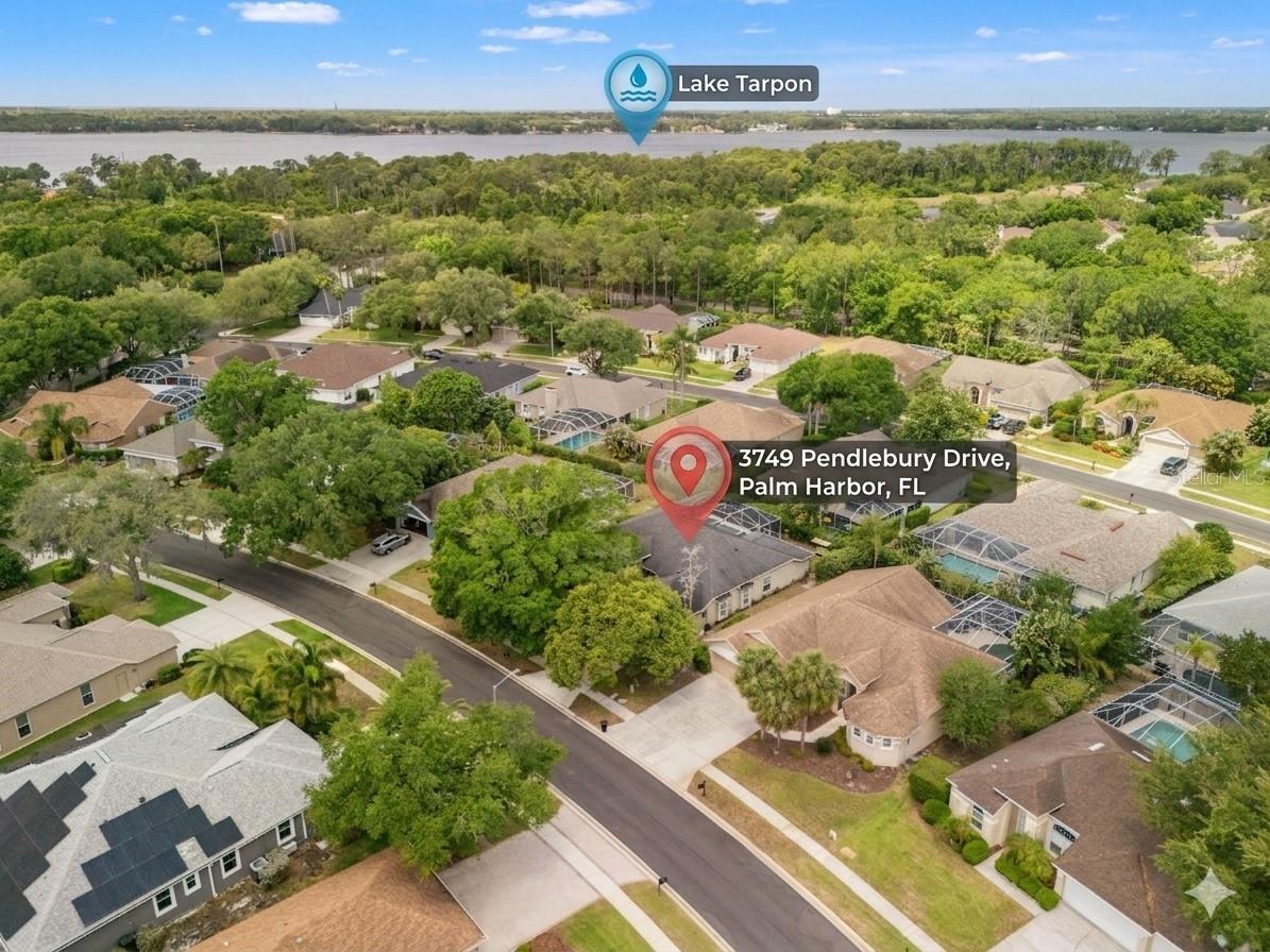 3749 Pendlebury Drive Palm Harbor FL 34685 TB8499308 image50