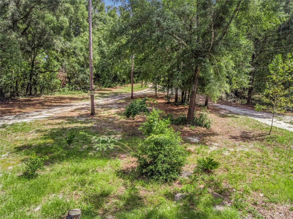 3749 SW 22nd Place Bell FL 32619 GC533882 image2