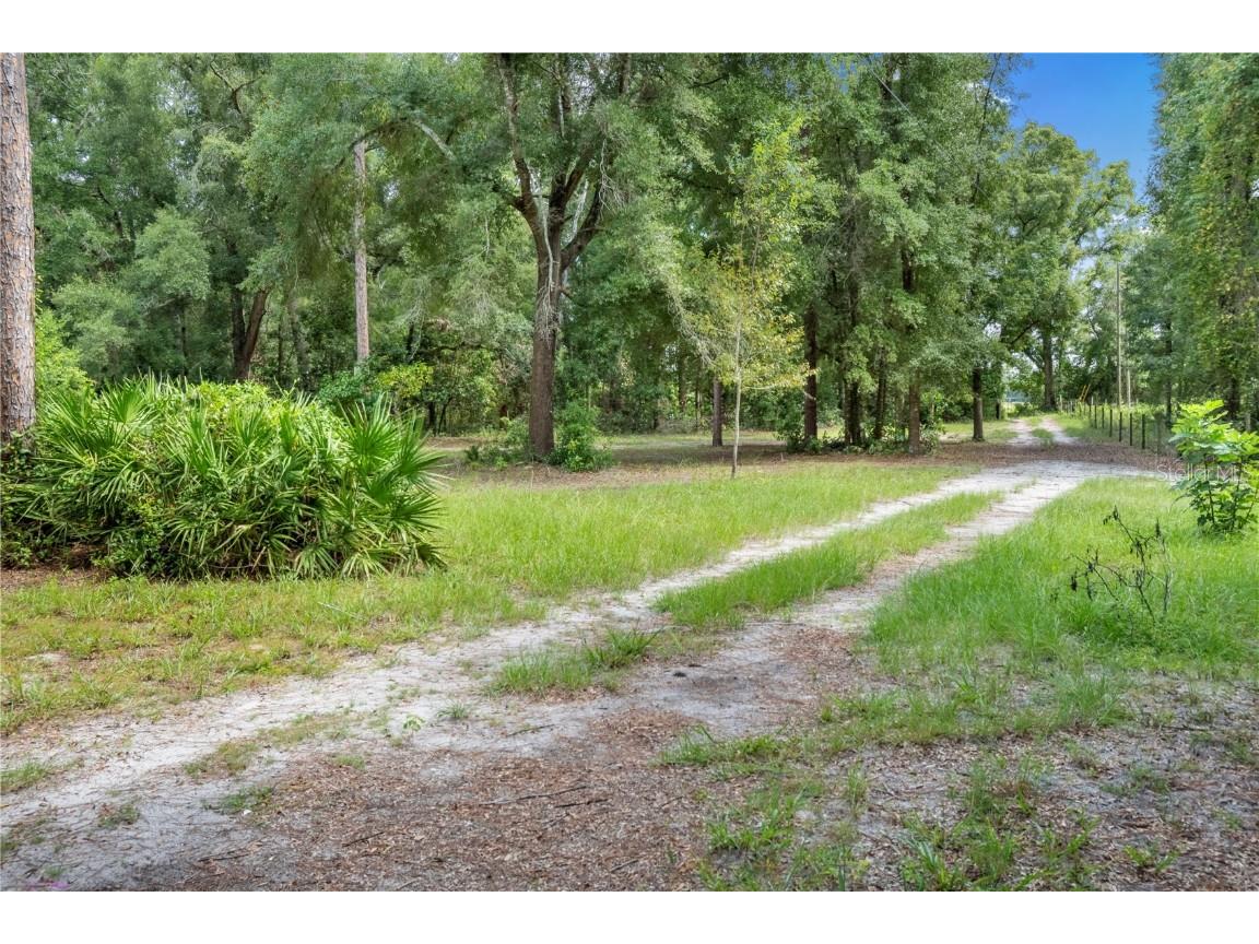 3749 SW 22nd Place Bell FL 32619 GC533882 image37