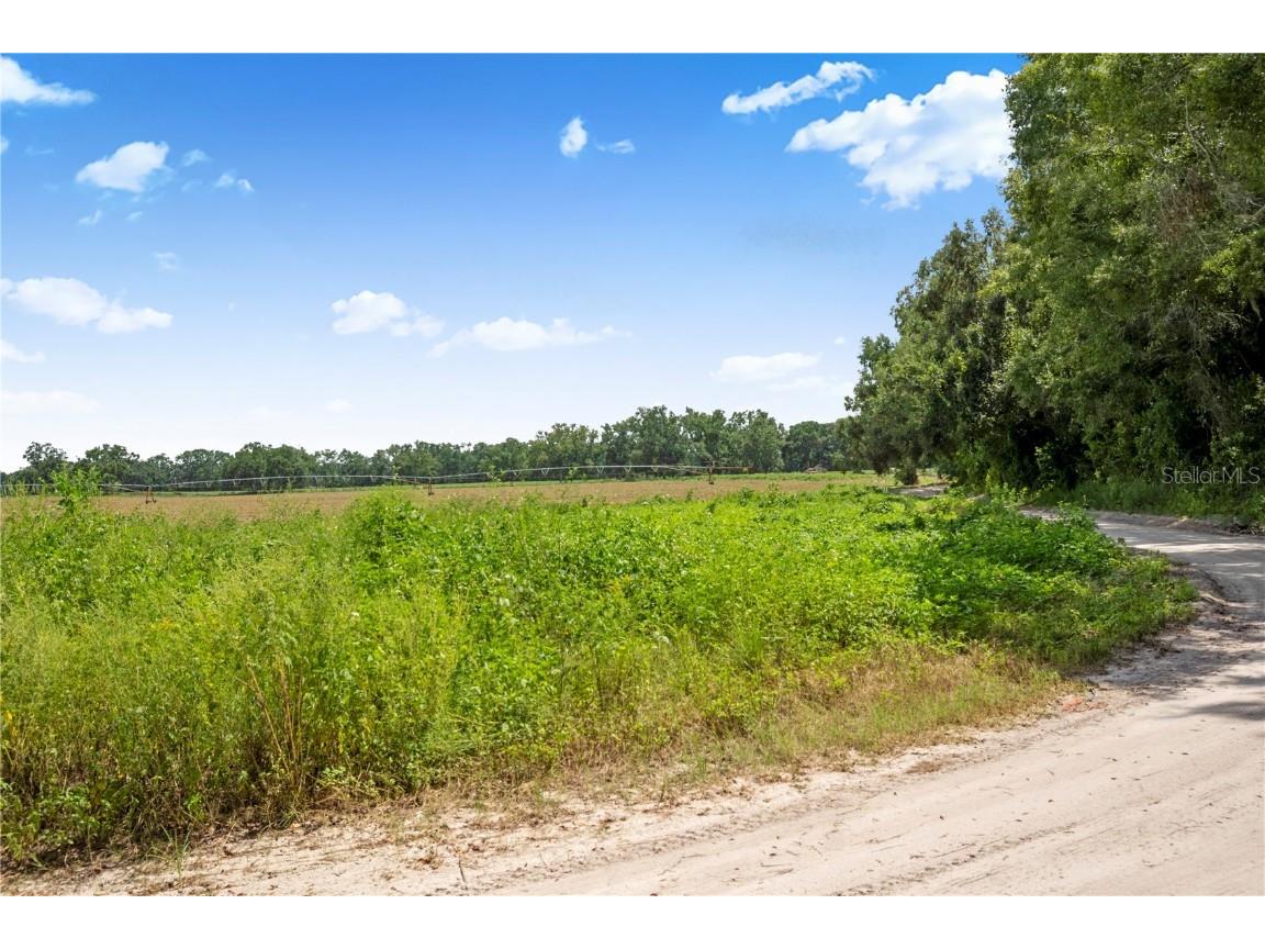 3749 SW 22nd Place Bell FL 32619 GC533882 image39