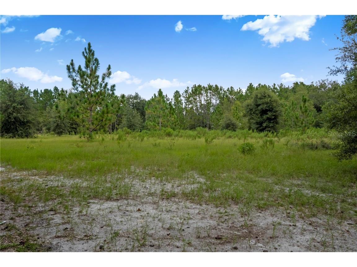 3749 SW 22nd Place Bell FL 32619 GC533882 image43