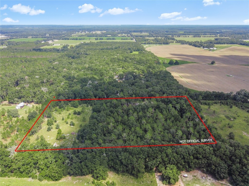 3749 SW 22nd Place Bell FL 32619 GC533882 image5