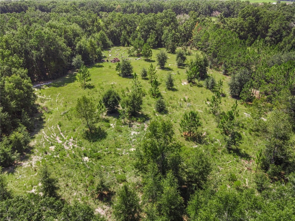 3749 SW 22nd Place Bell FL 32619 GC533882 image8