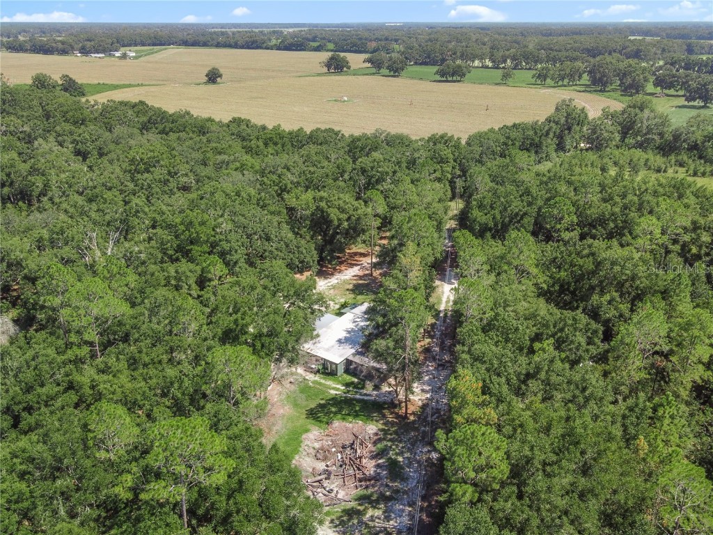 3749 SW 22nd Place Bell FL 32619 GC533882 image9