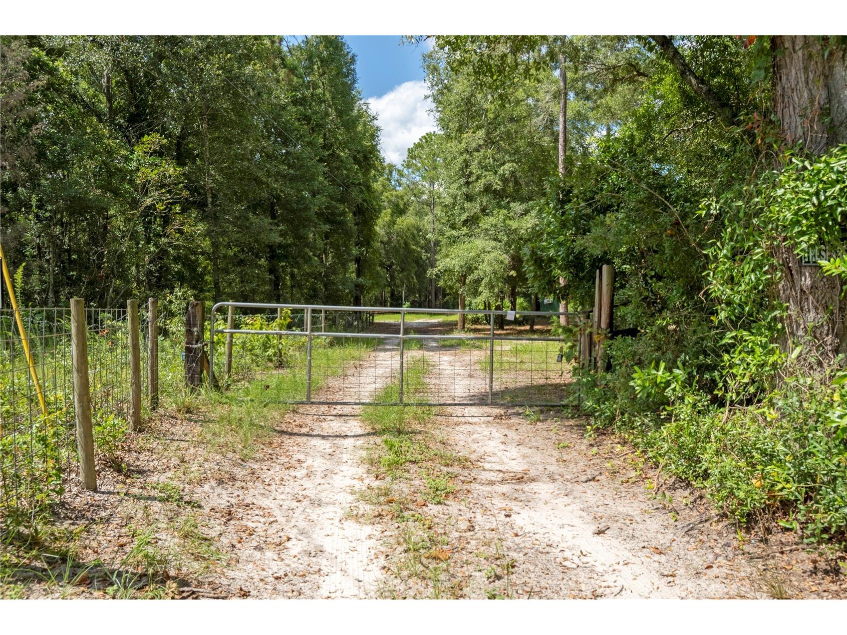 3749 V SW 22nd Place Bell FL 32619 GC539630 image1