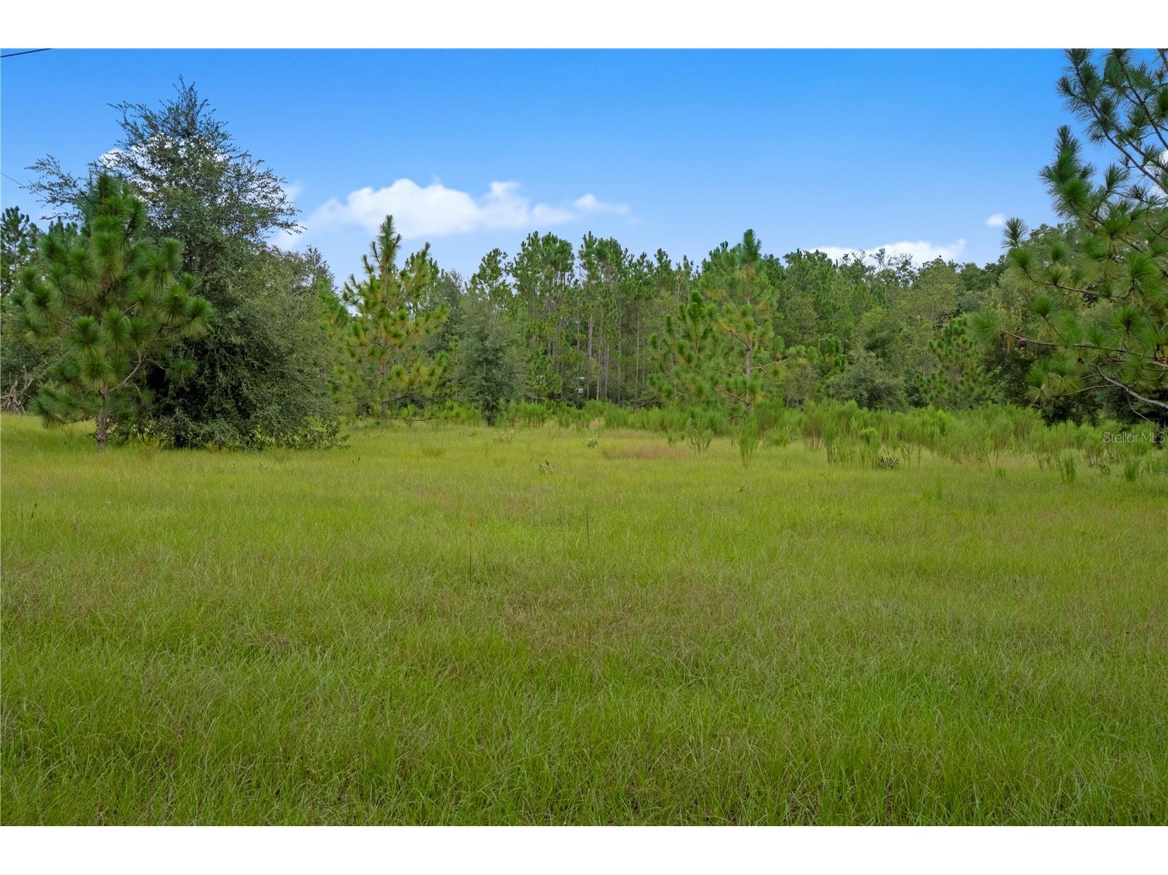 3749 V SW 22nd Place Bell FL 32619 GC539630 image13