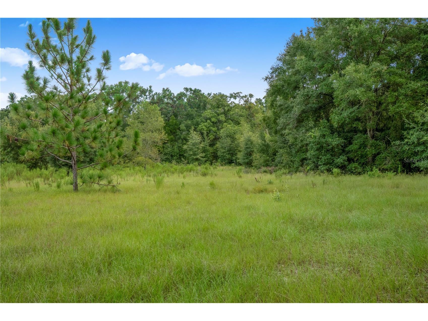 3749 V SW 22nd Place Bell FL 32619 GC539630 image14