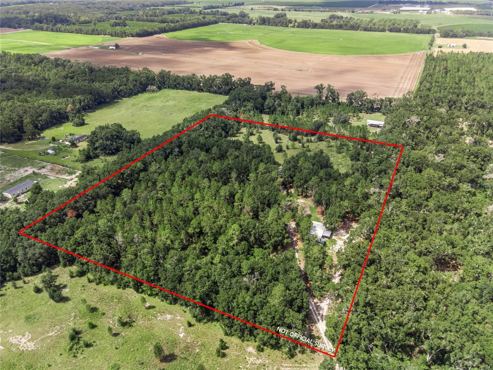 3749 V SW 22nd Place Bell FL 32619 GC539630 image7