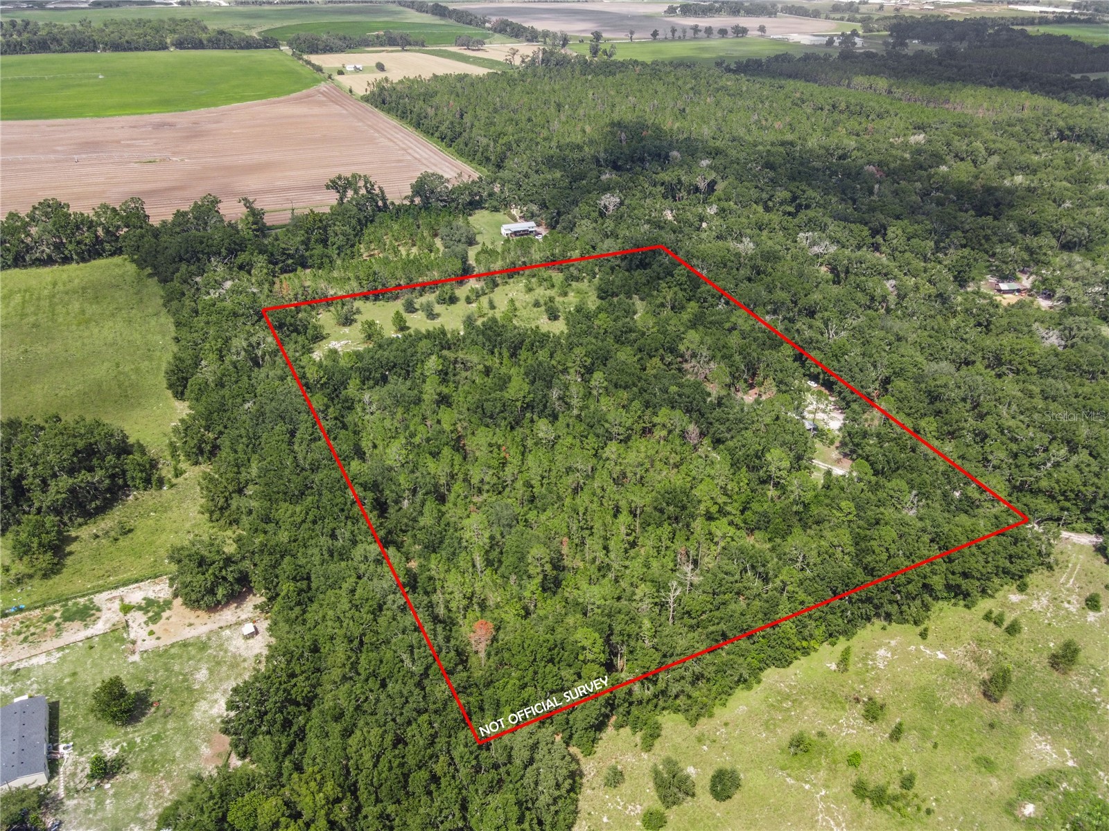 3749 V SW 22nd Place Bell FL 32619 GC539630 image8