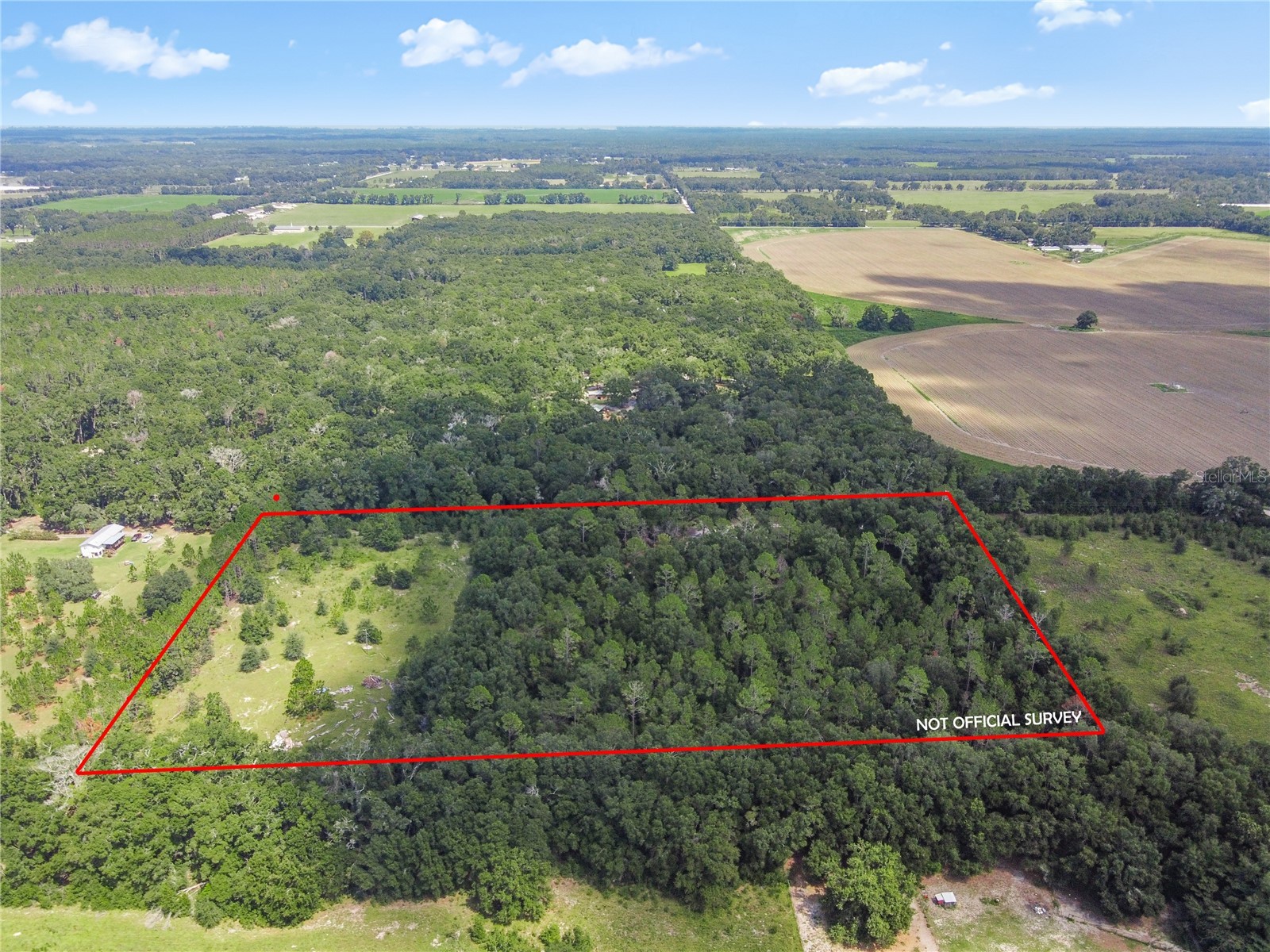 3749 V SW 22nd Place Bell FL 32619 GC539630 image9