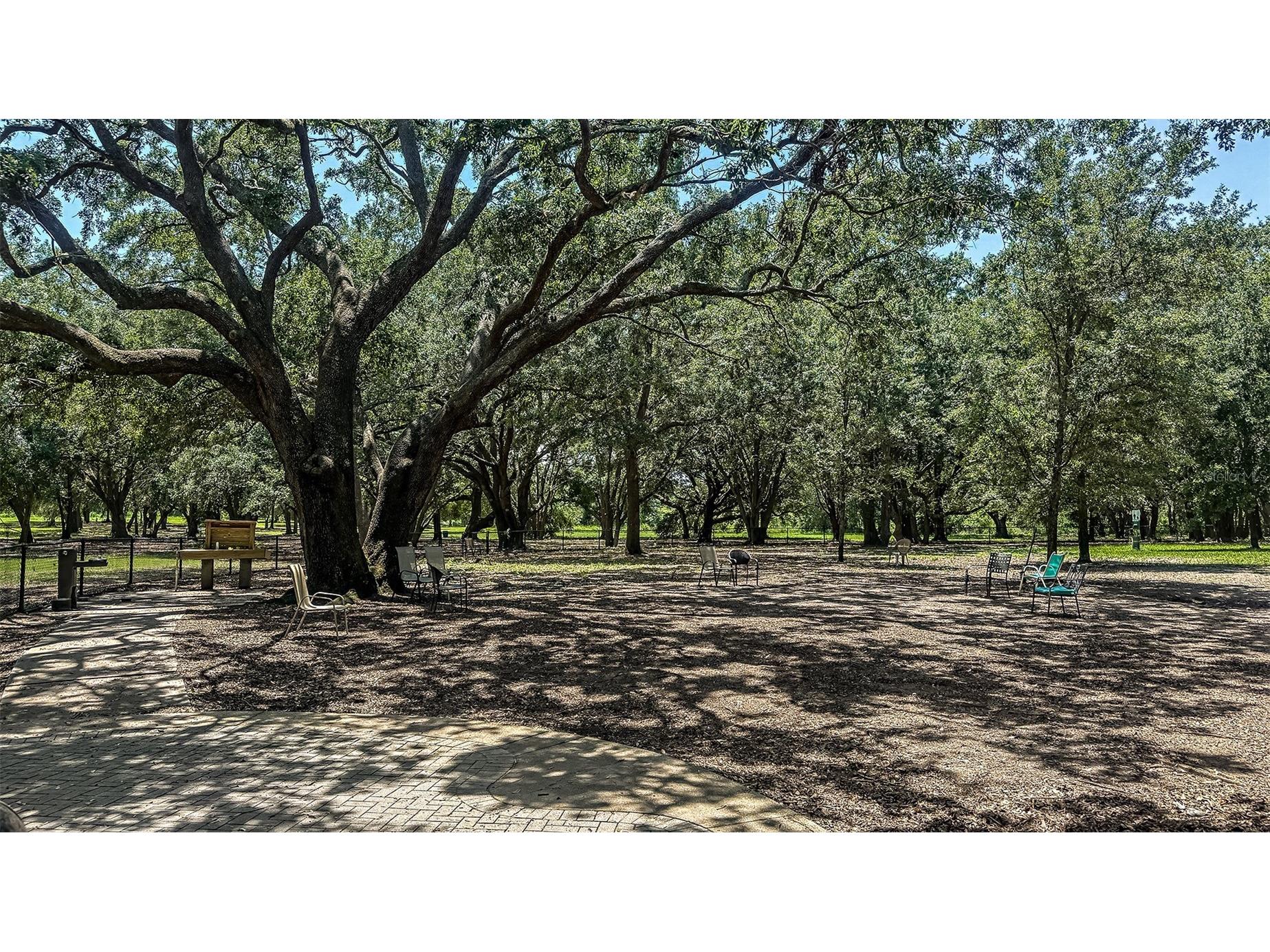 375 Cornerstone Drive Groveland FL 34736 O6411679 image24