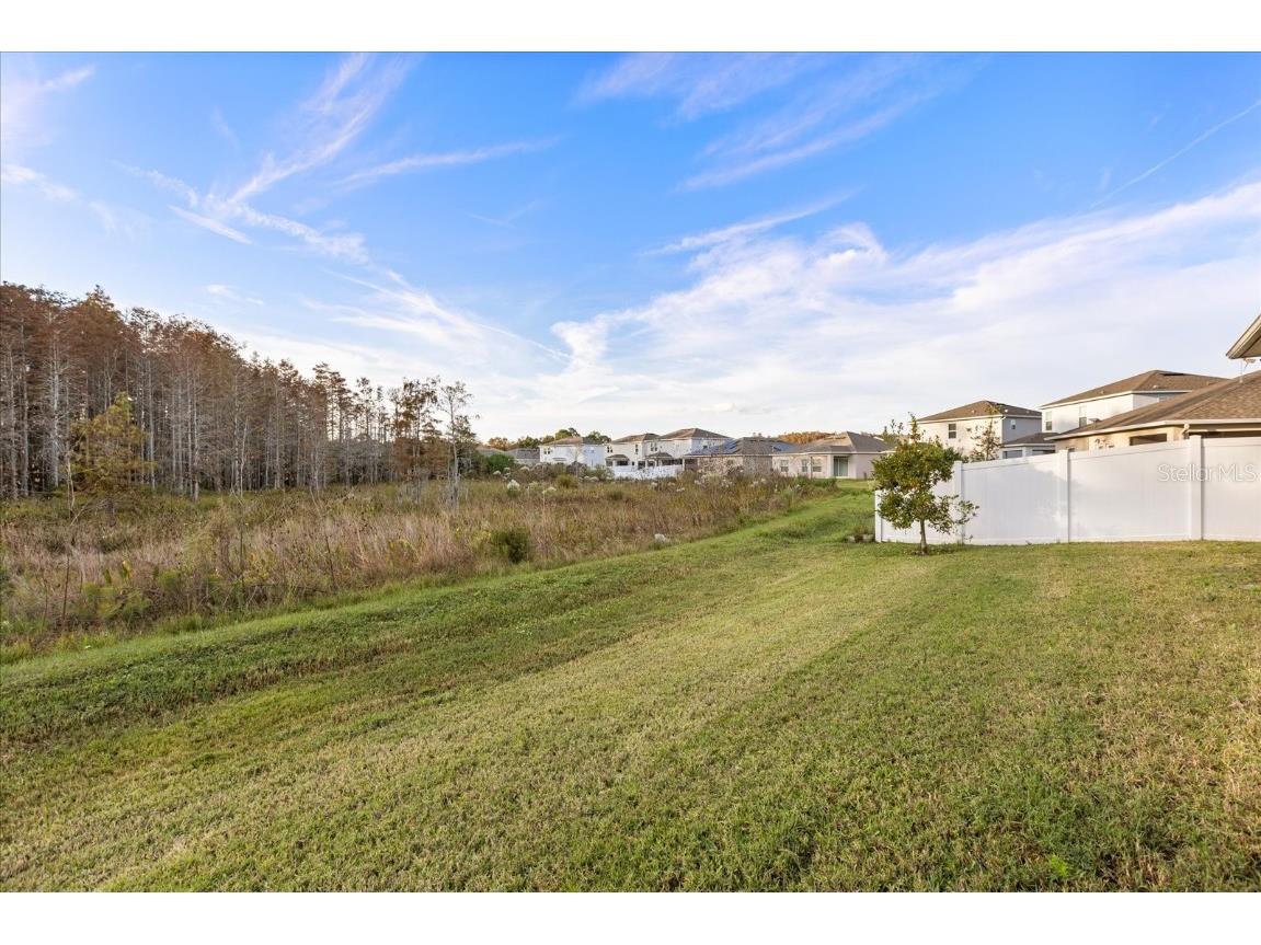 375 Pink Ibis Bend Saint Cloud FL 34772 S5139440 image32