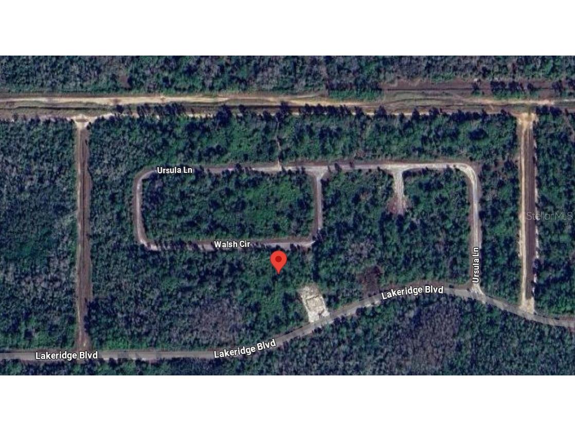 375 Walsh Circle Lehigh Acres FL 33972 TB8435866 image2