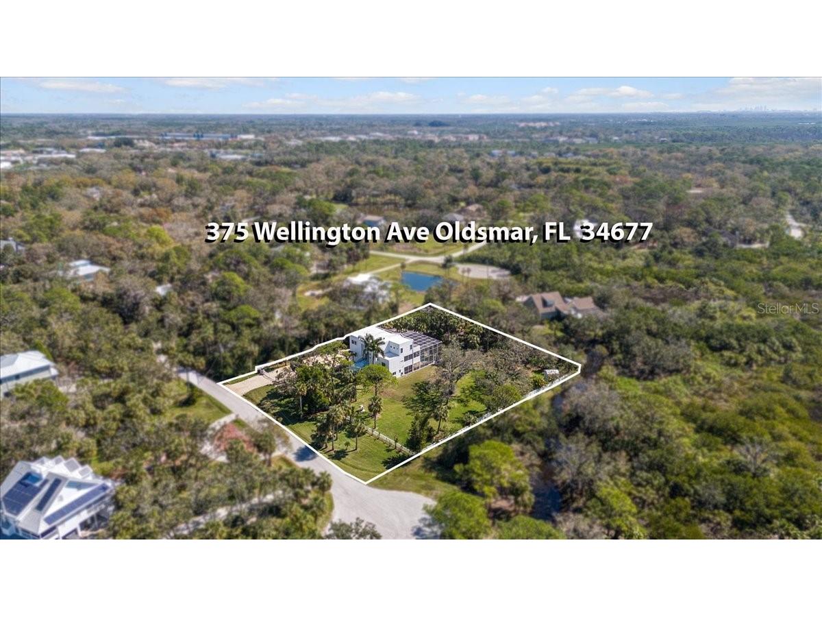 375 Wellington Avenue Oldsmar FL 34677 TB8358922 image24
