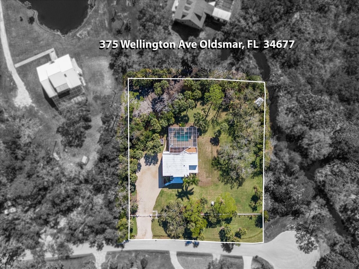 375 Wellington Avenue Oldsmar FL 34677 TB8492687 image46