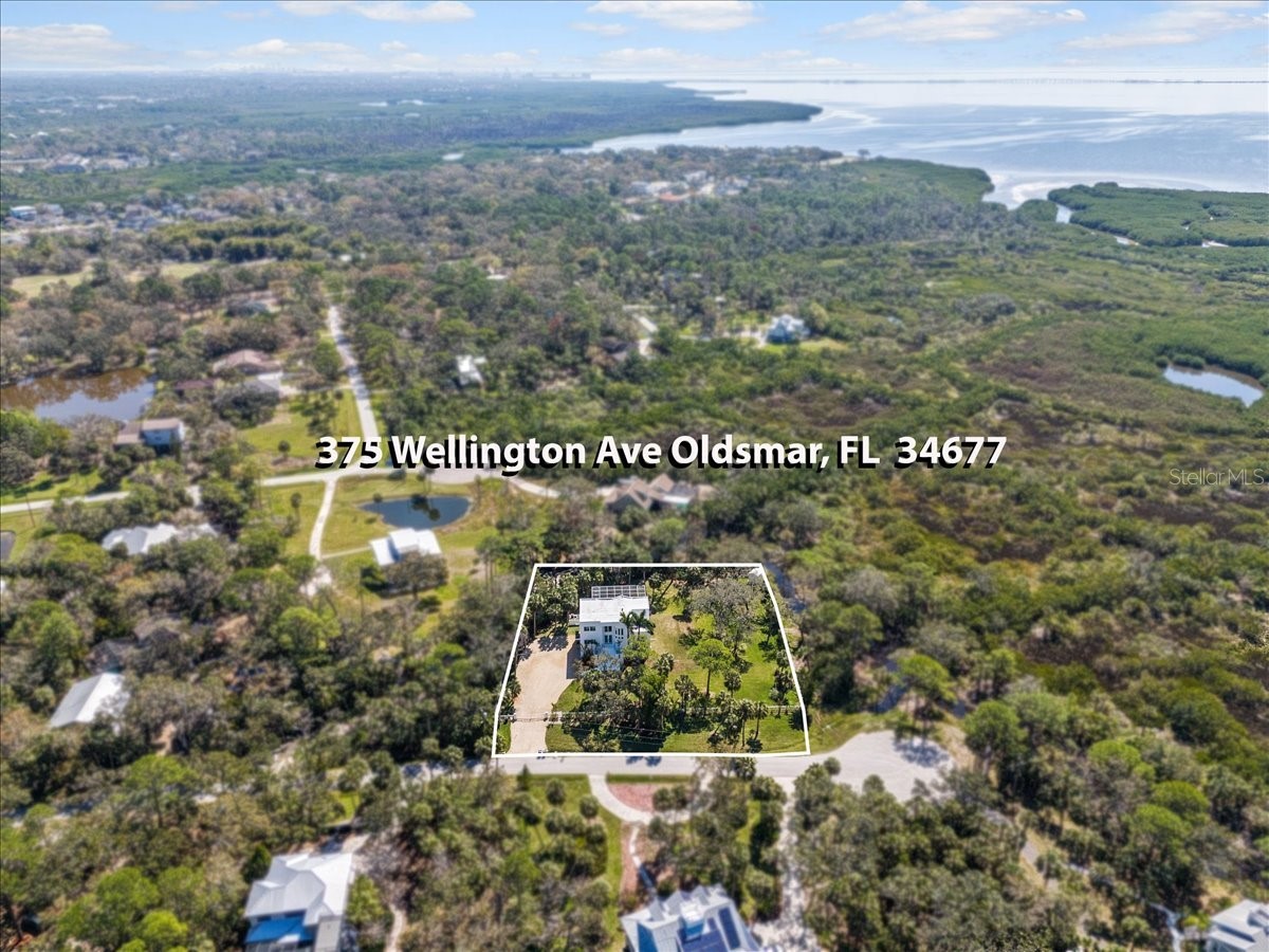 375 Wellington Avenue Oldsmar FL 34677 TB8492687 image70