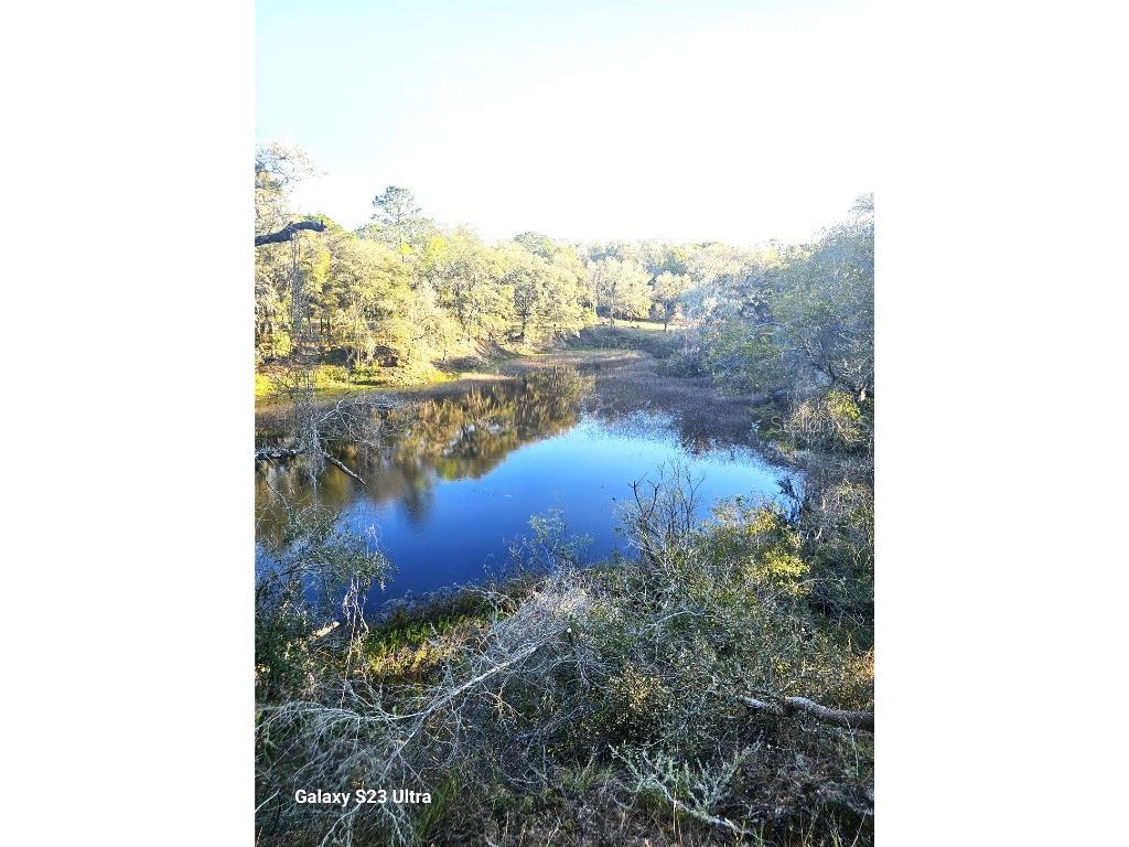 3750 E Cart Lane Inverness FL 34453 OM673173 image1