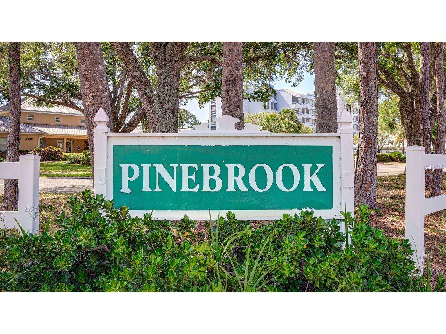3750 Pinebrook Circle #308 Bradenton FL 34209 A4674455 image38