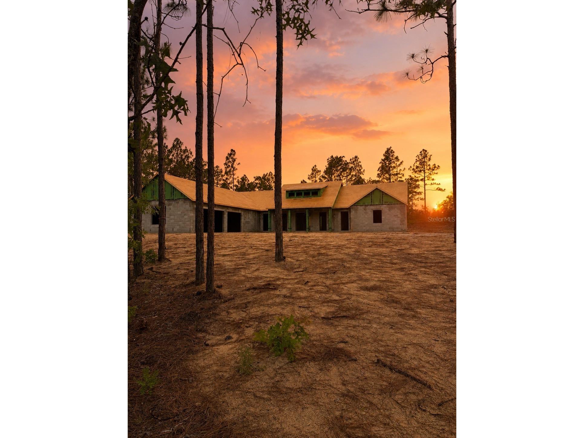3750 SE 139th Terrace Morriston FL 32668 O6426826 image1