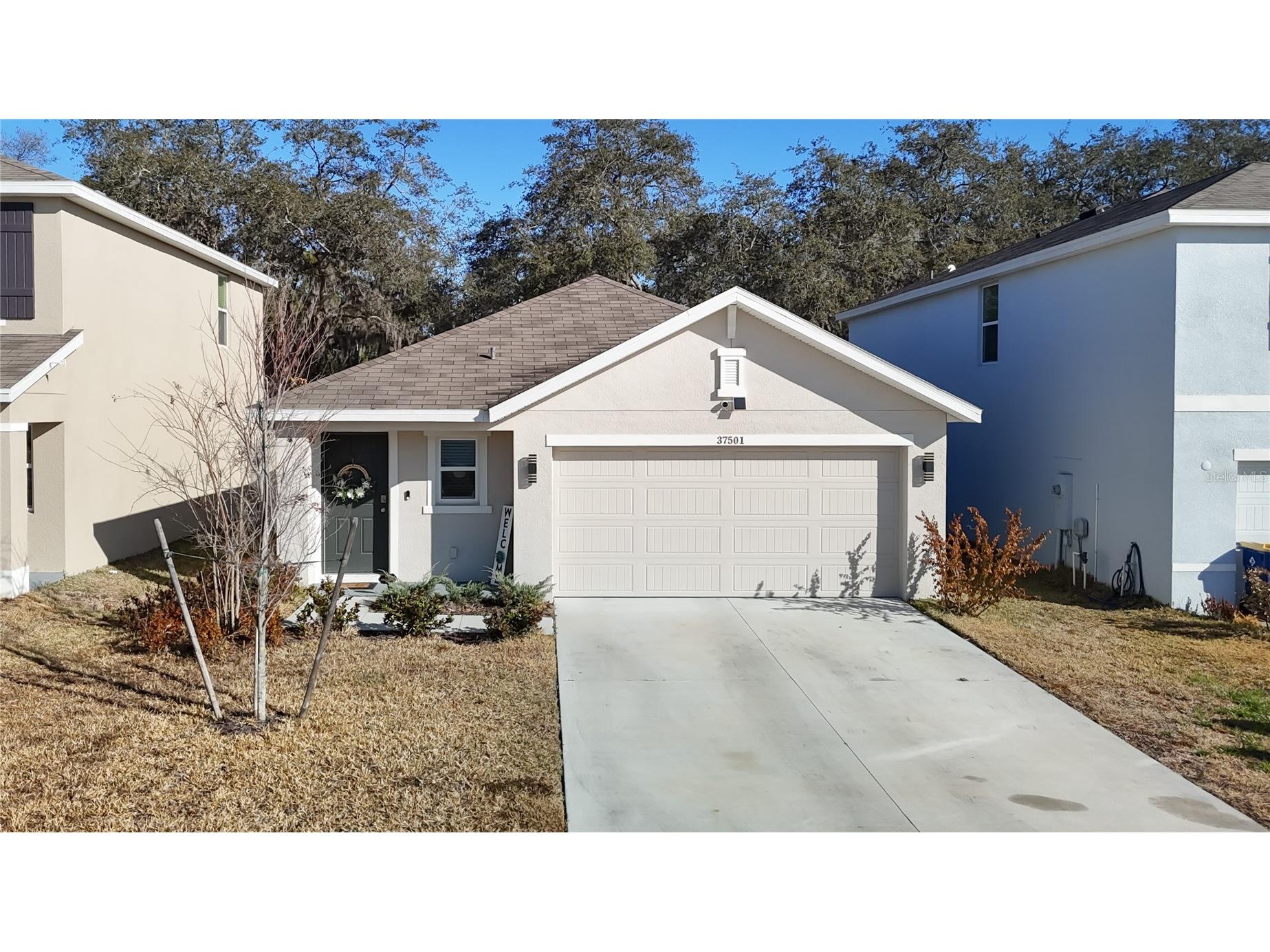 37501 Sharks Eye Lane Zephyrhills FL 33541 TB8480772 image1