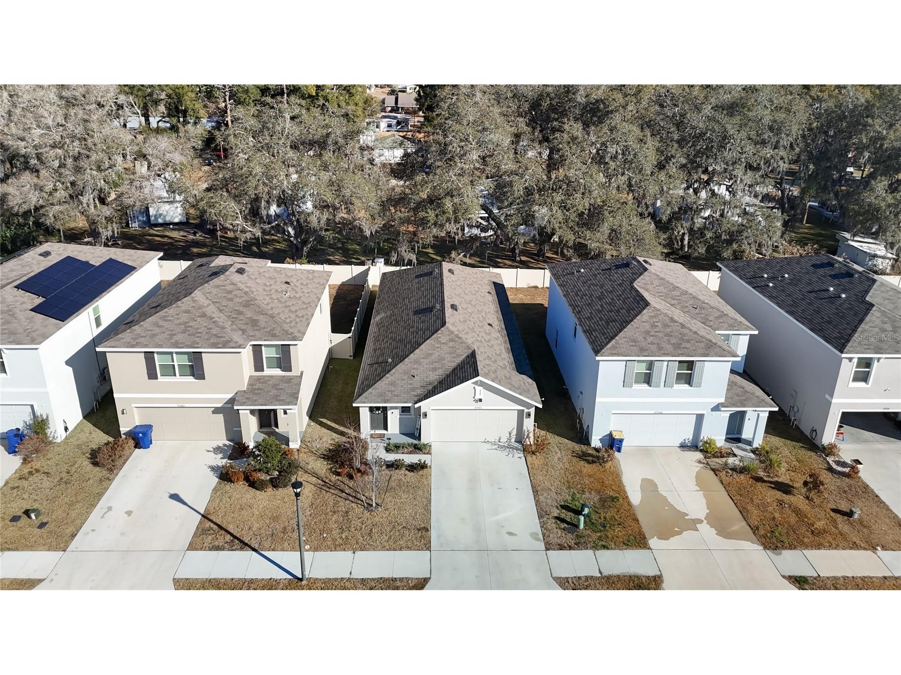 37501 Sharks Eye Lane Zephyrhills FL 33541 TB8480772 image3