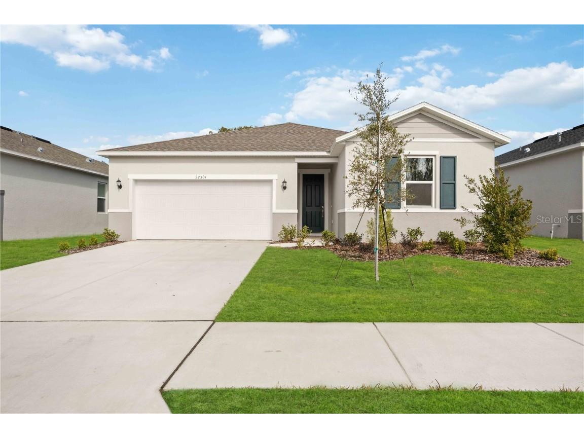 37501 Williamette Way Zephyrhills FL 33540 O6243860 image1