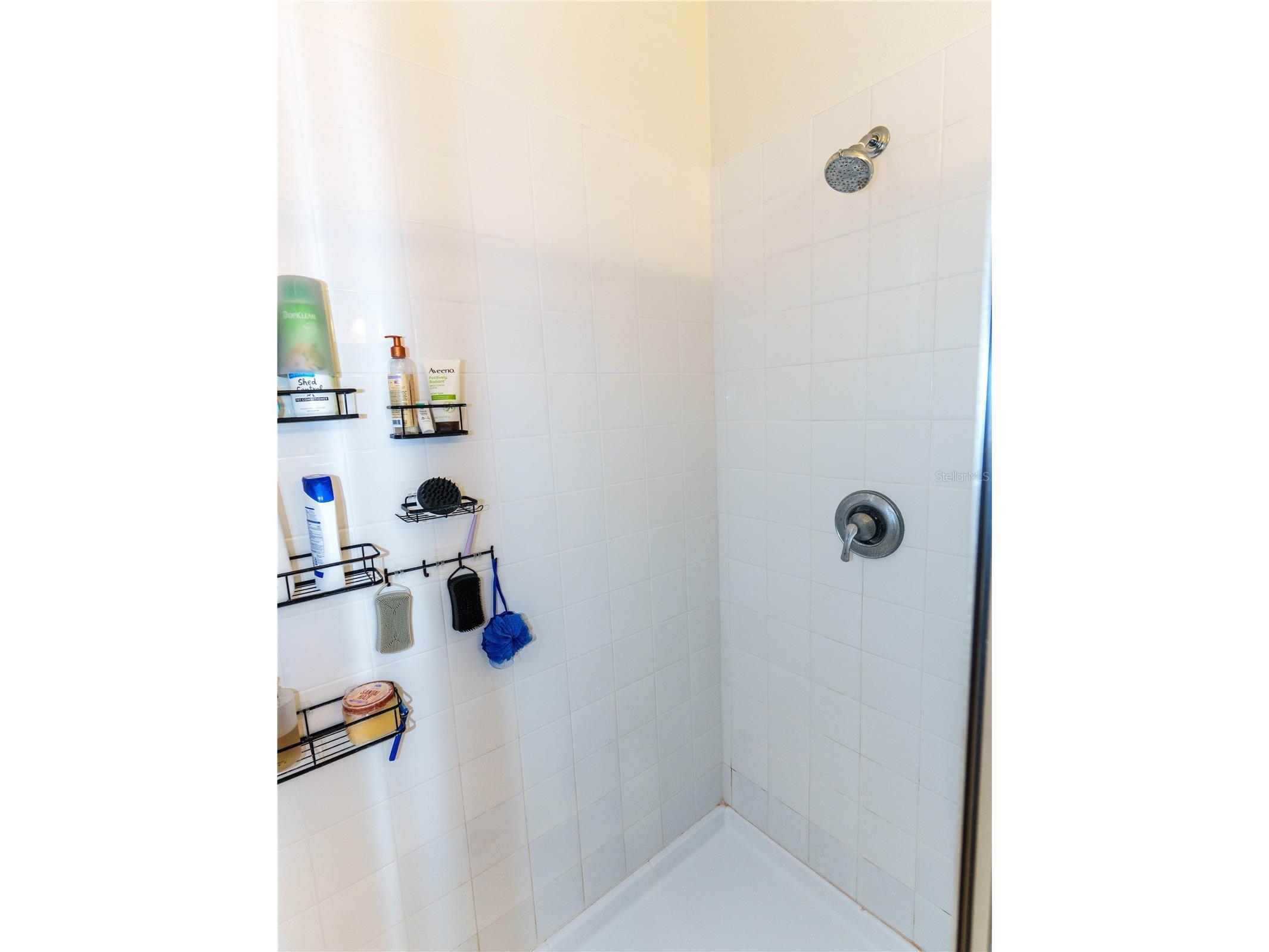 37501 Williamette Way Zephyrhills FL 33540 TB8525601 image13