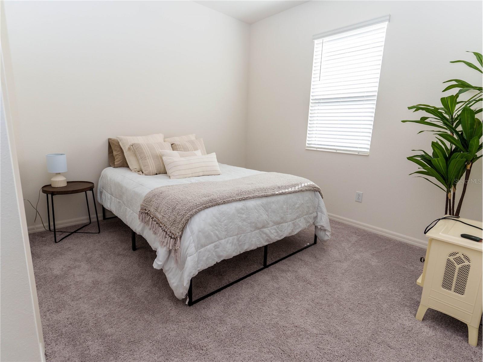 37501 Williamette Way Zephyrhills FL 33540 TB8525601 image16