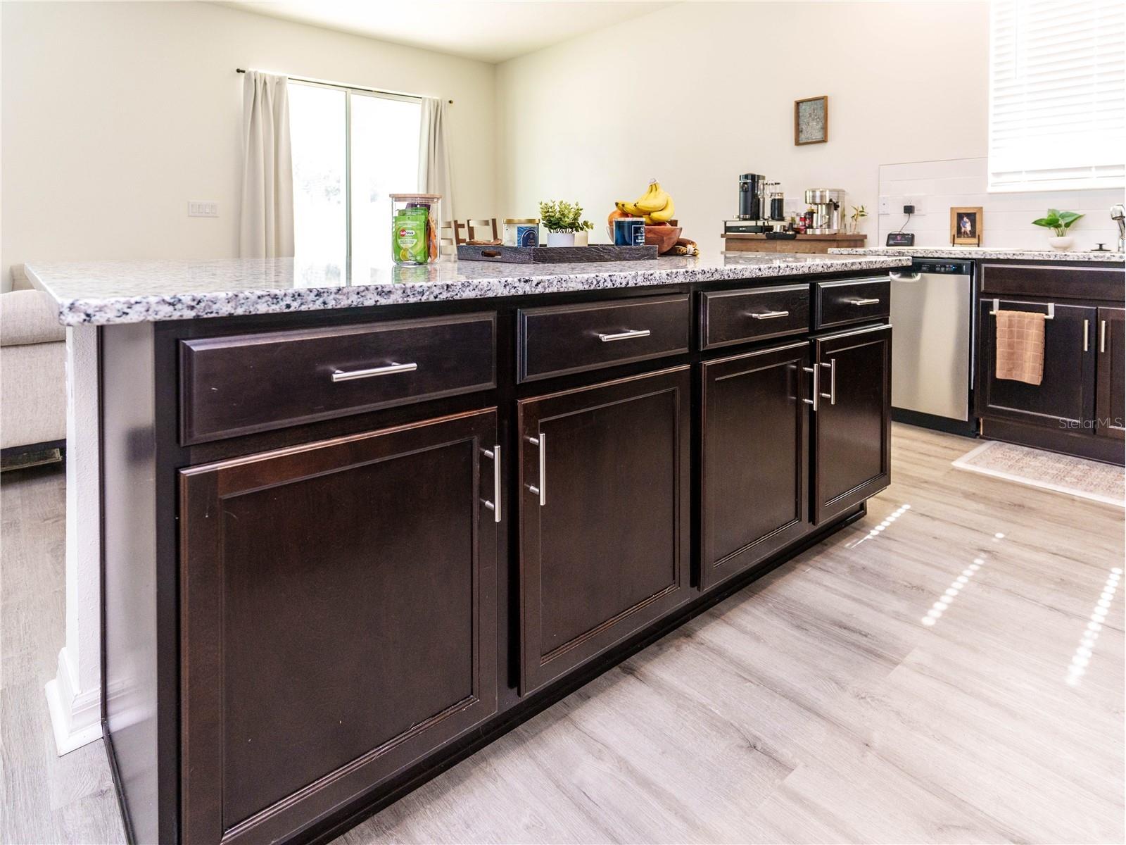 37501 Williamette Way Zephyrhills FL 33540 TB8525601 image8