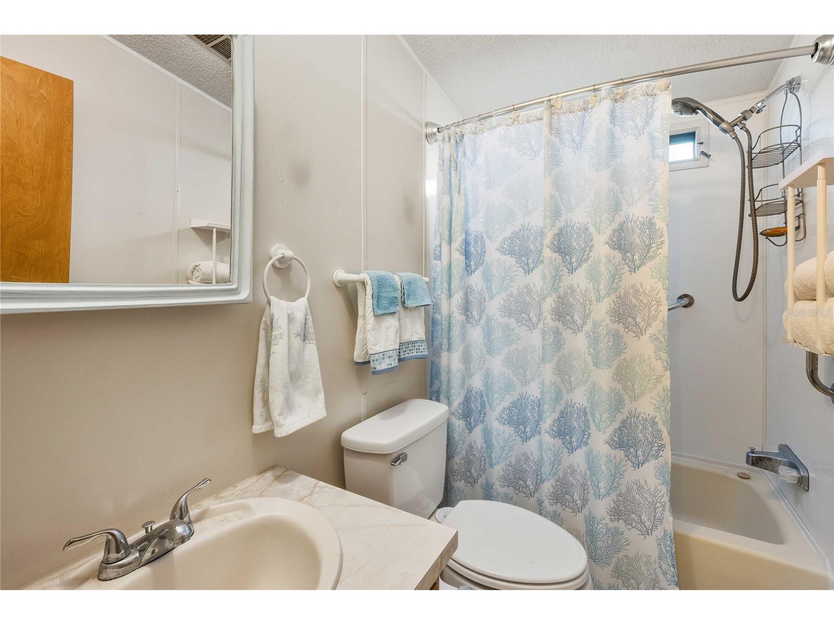 37503 Attica Avenue Zephyrhills FL 33542 TB8466094 image12