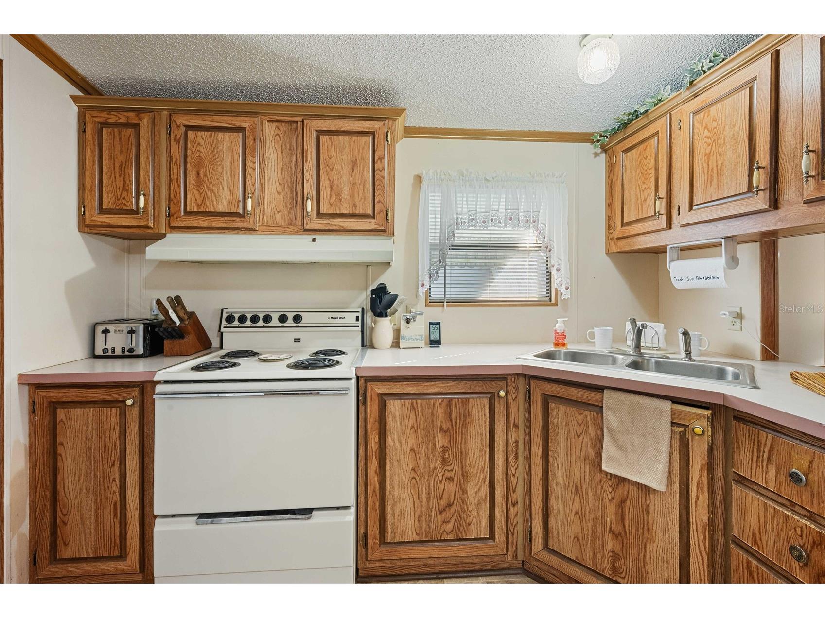 37503 Attica Avenue Zephyrhills FL 33542 TB8466094 image6
