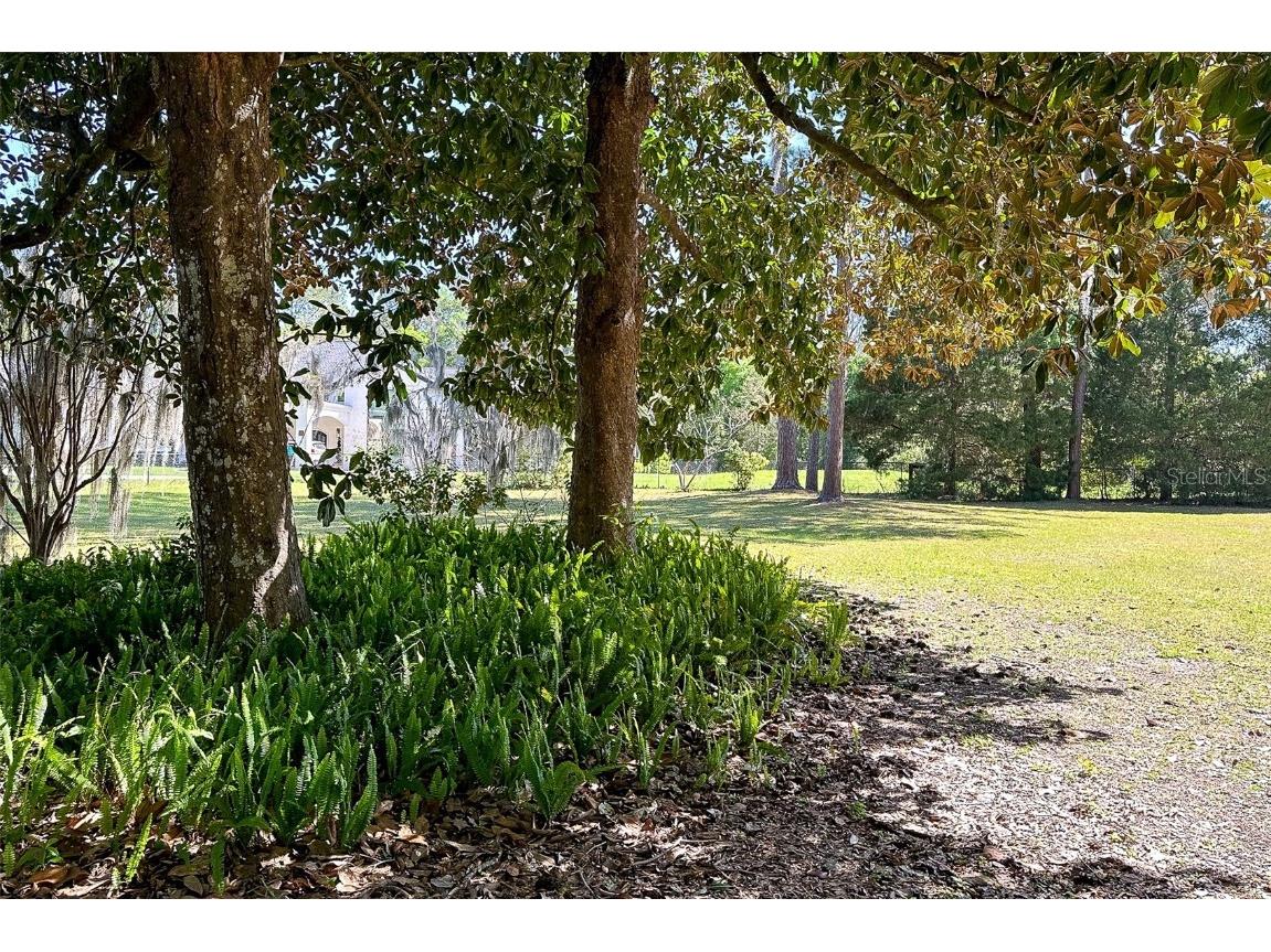 3751 SE 3rd Avenue Ocala FL 34471 OM674669 image74