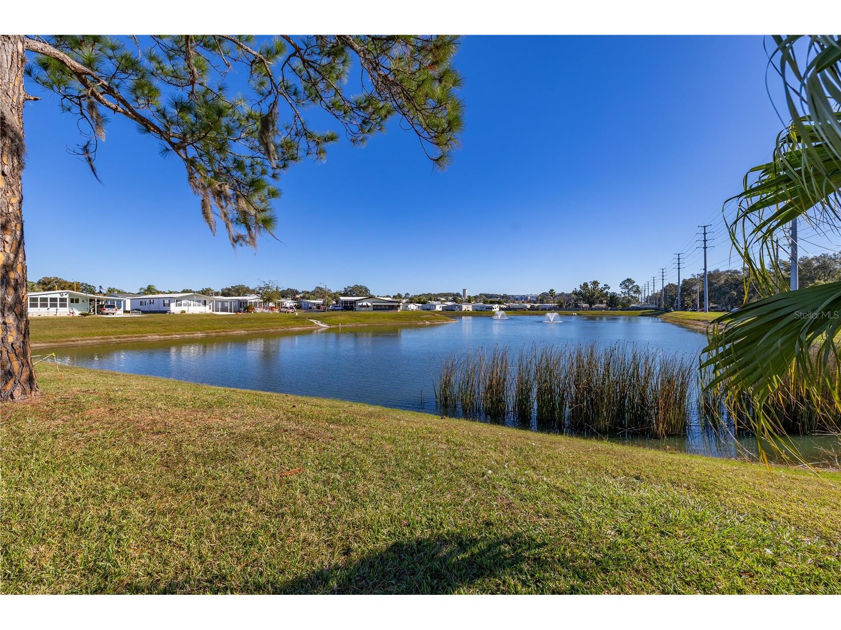 37513 Campo Avenue Zephyrhills FL 33541 O6369841 image32