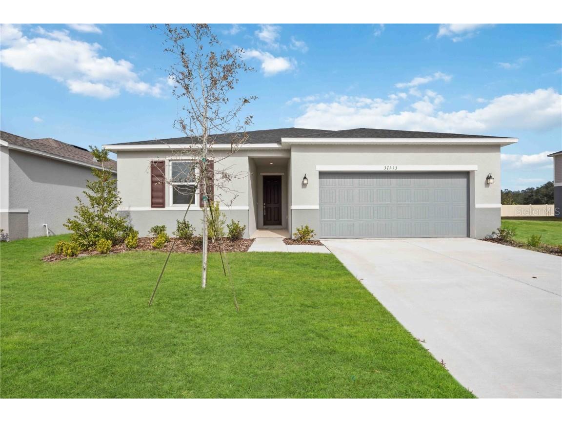 37513 Williamette Way Zephyrhills FL 33540 O6243861 image1