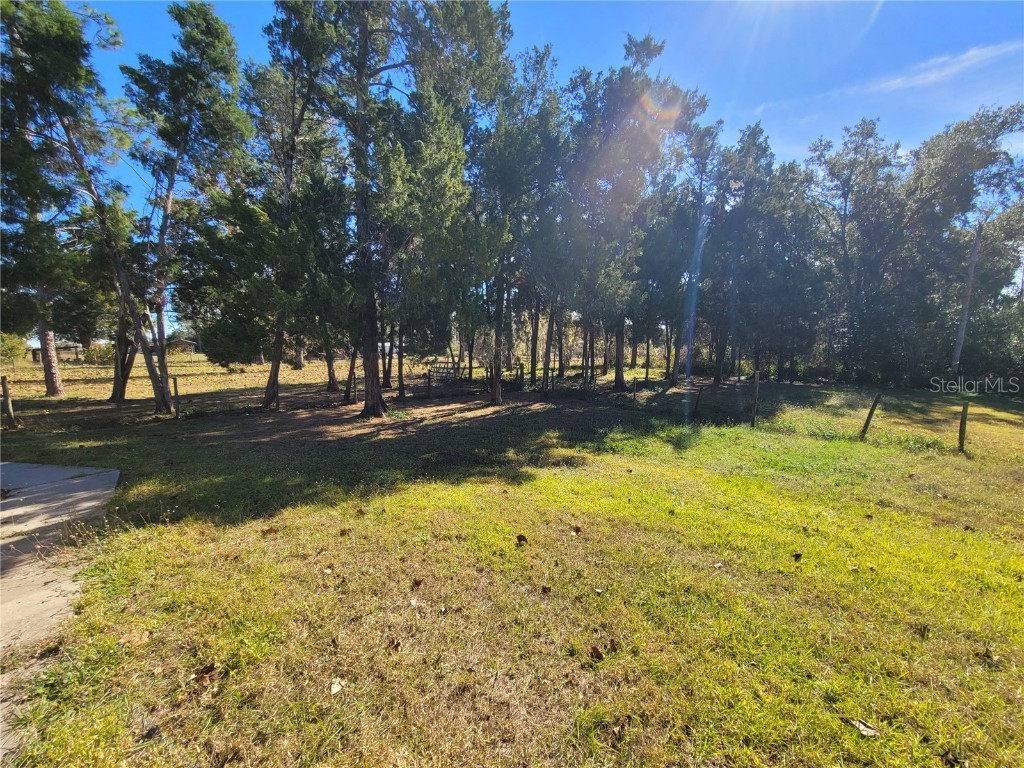 37515 Phelps Road Zephyrhills FL 33541 TB8454419 image4