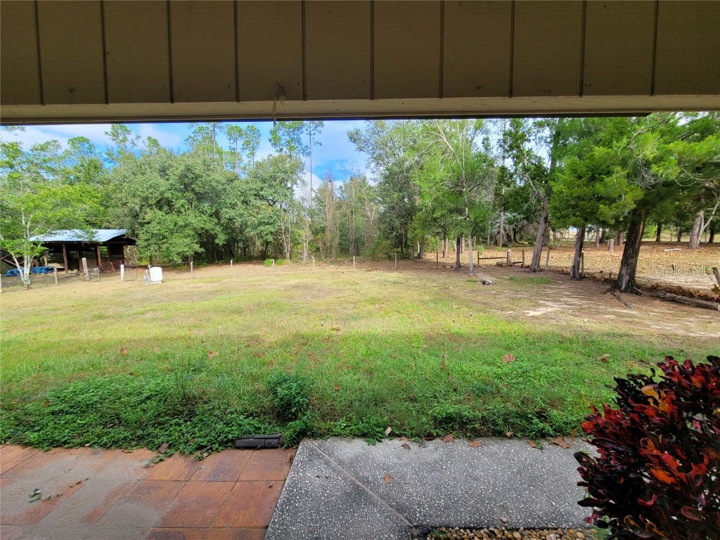 37515 Phelps Road Zephyrhills FL 33541 TB8454419 image9