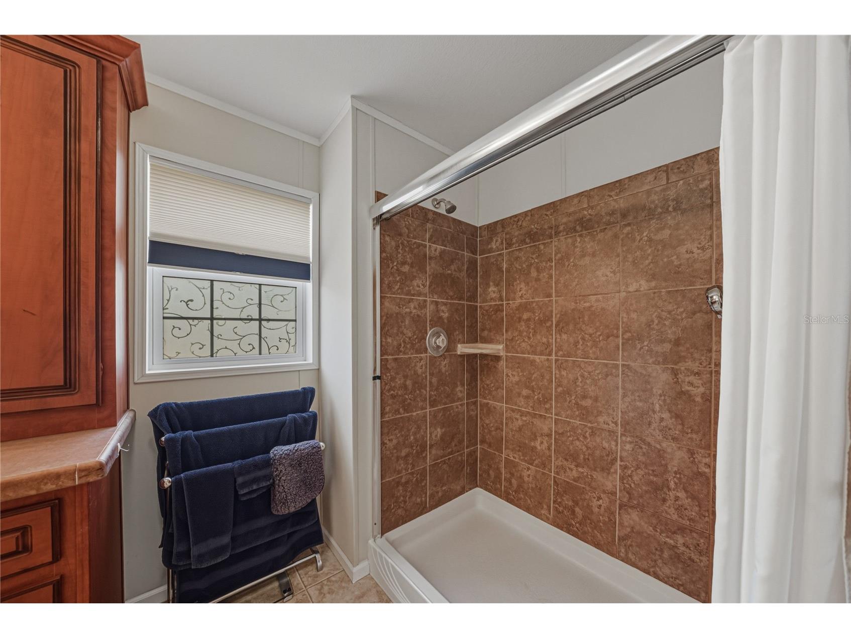 37519 Corey Lewis Avenue Zephyrhills FL 33541 TB8473554 image34