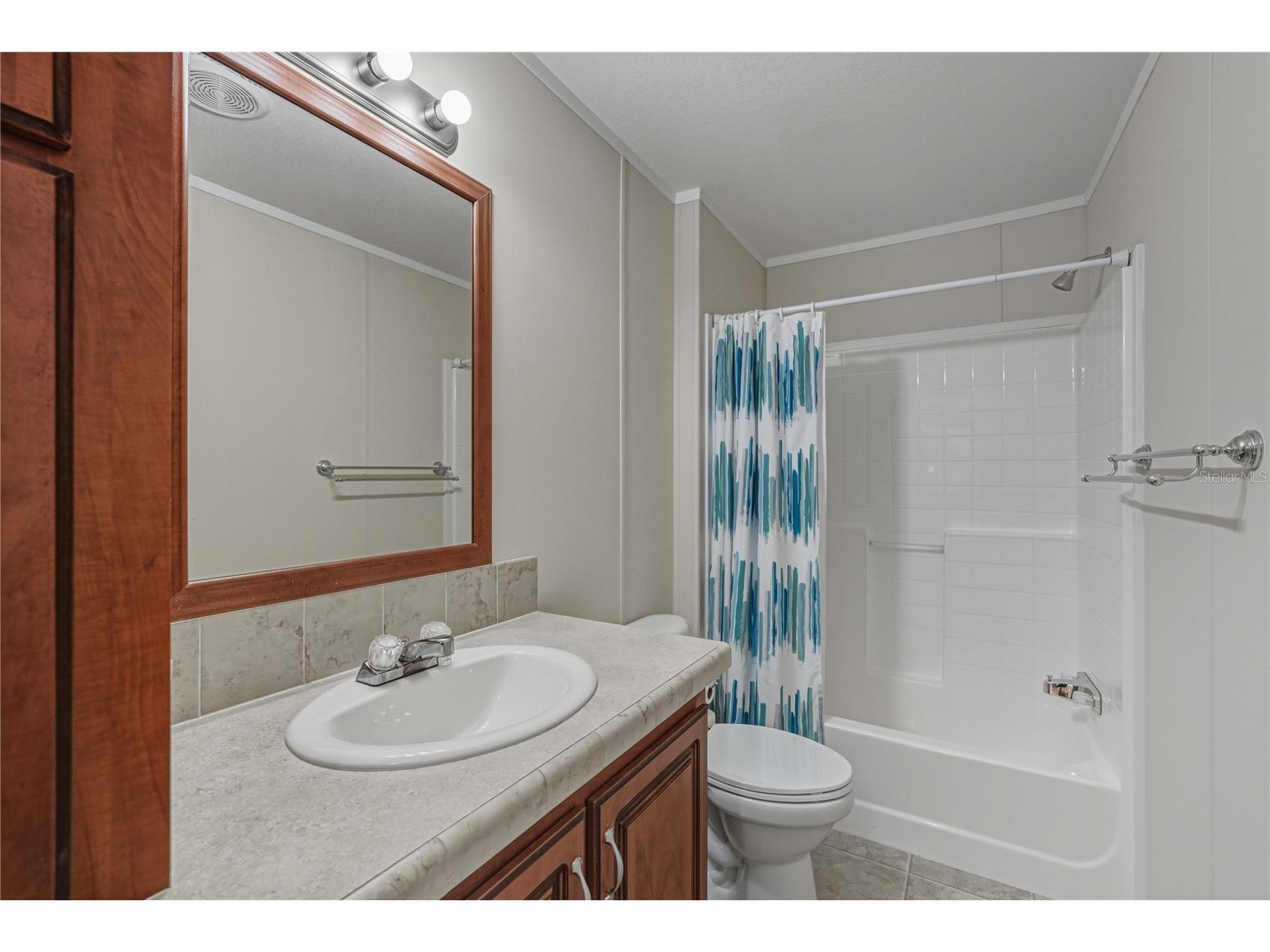 37519 Corey Lewis Avenue Zephyrhills FL 33541 TB8473554 image39
