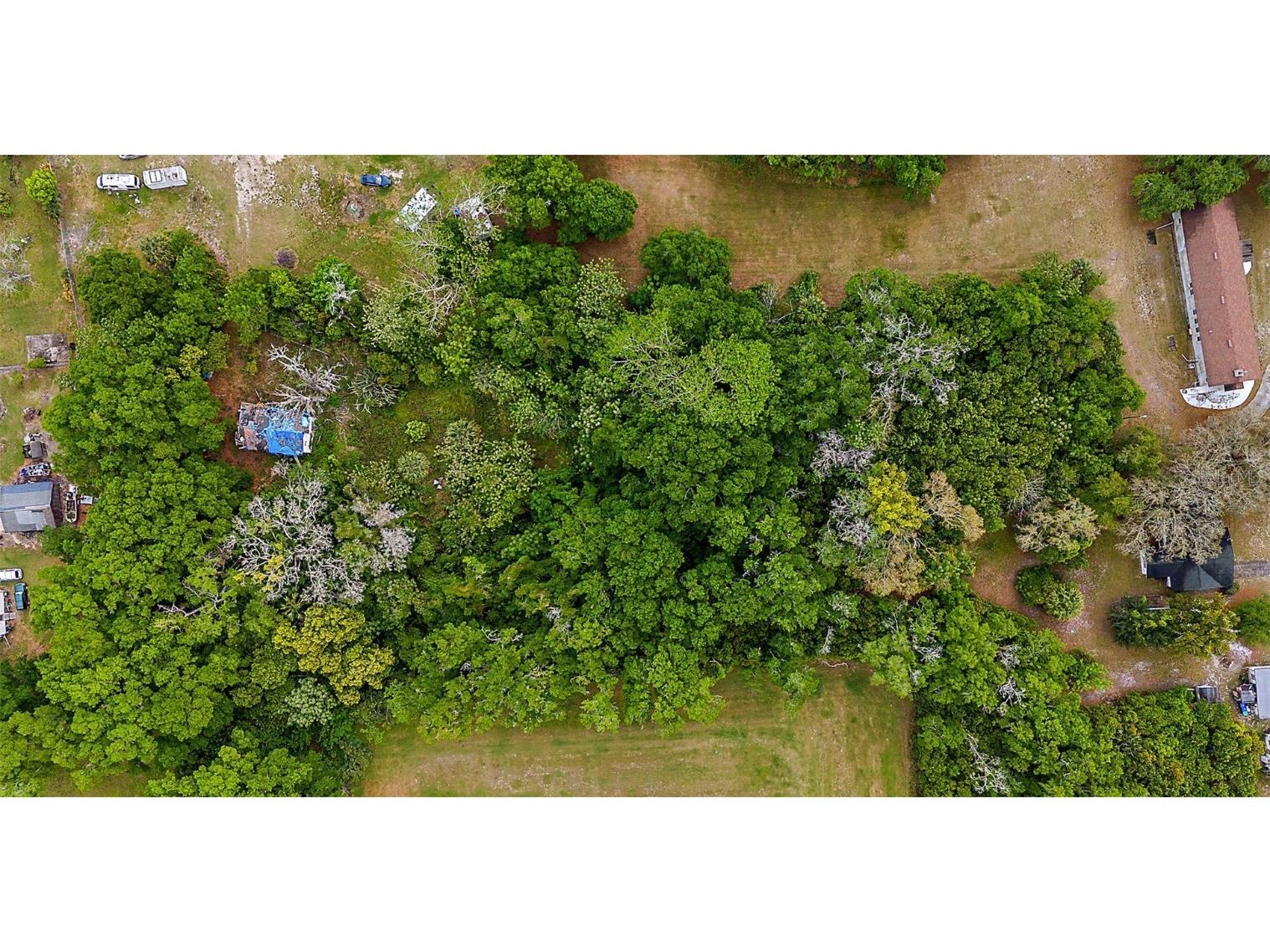 3752 N Orange Blossom Trail Mount Dora FL 32757 O6190836 image5