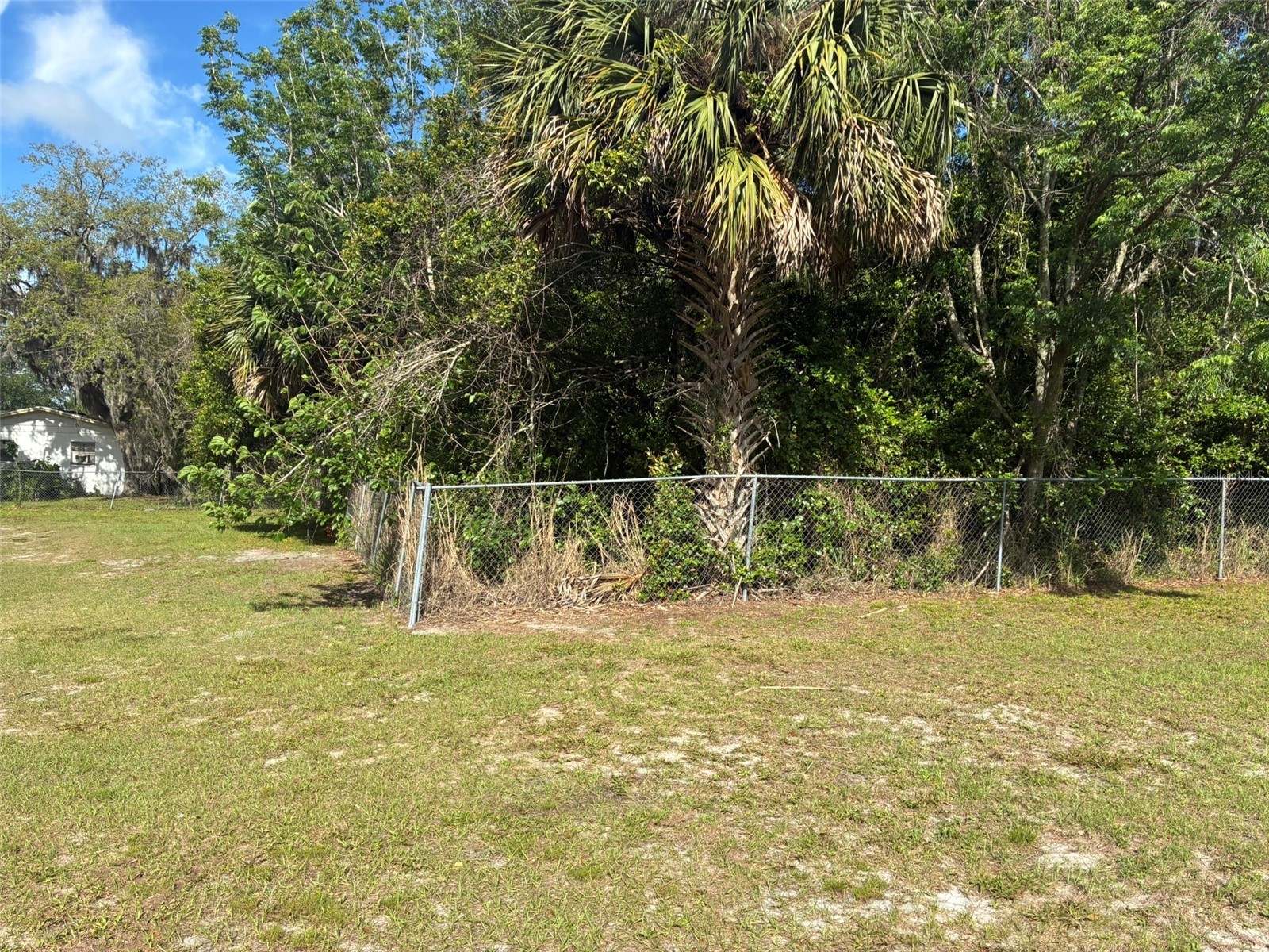 3752 N Orange Blossom Trail Mount Dora FL 32757 O6398716 image10