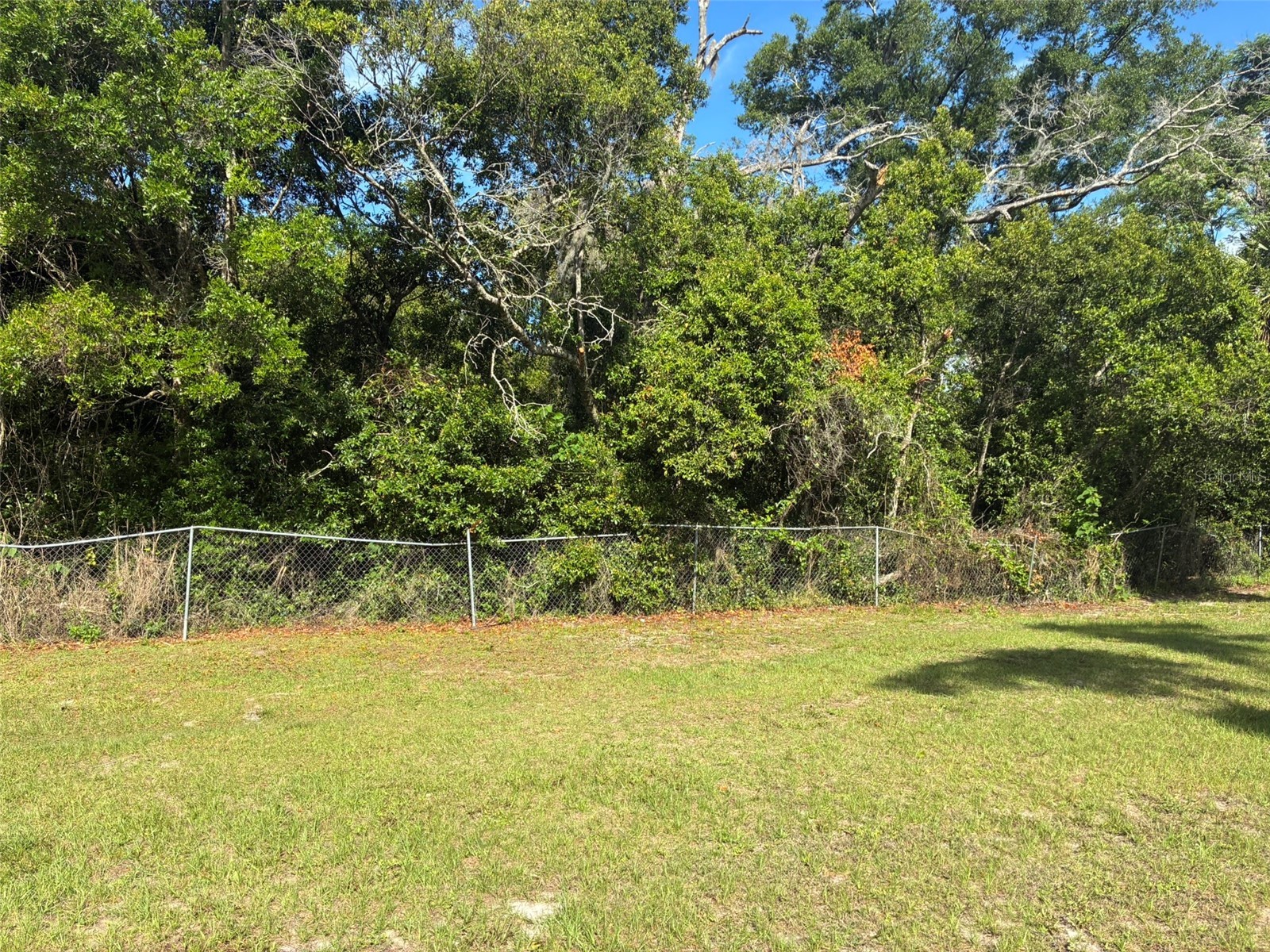 3752 N Orange Blossom Trail Mount Dora FL 32757 O6398716 image12