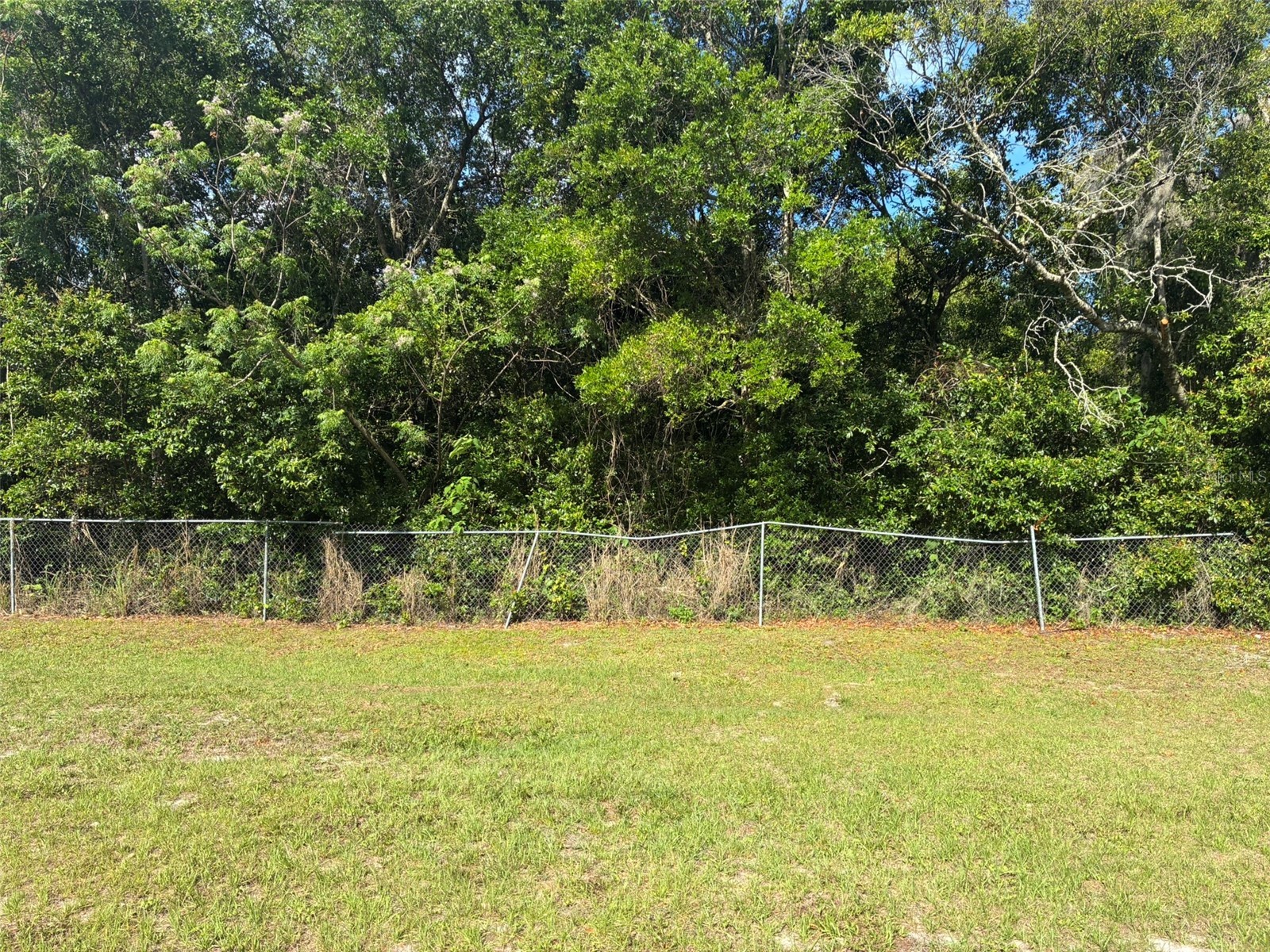 3752 N Orange Blossom Trail Mount Dora FL 32757 O6398716 image13