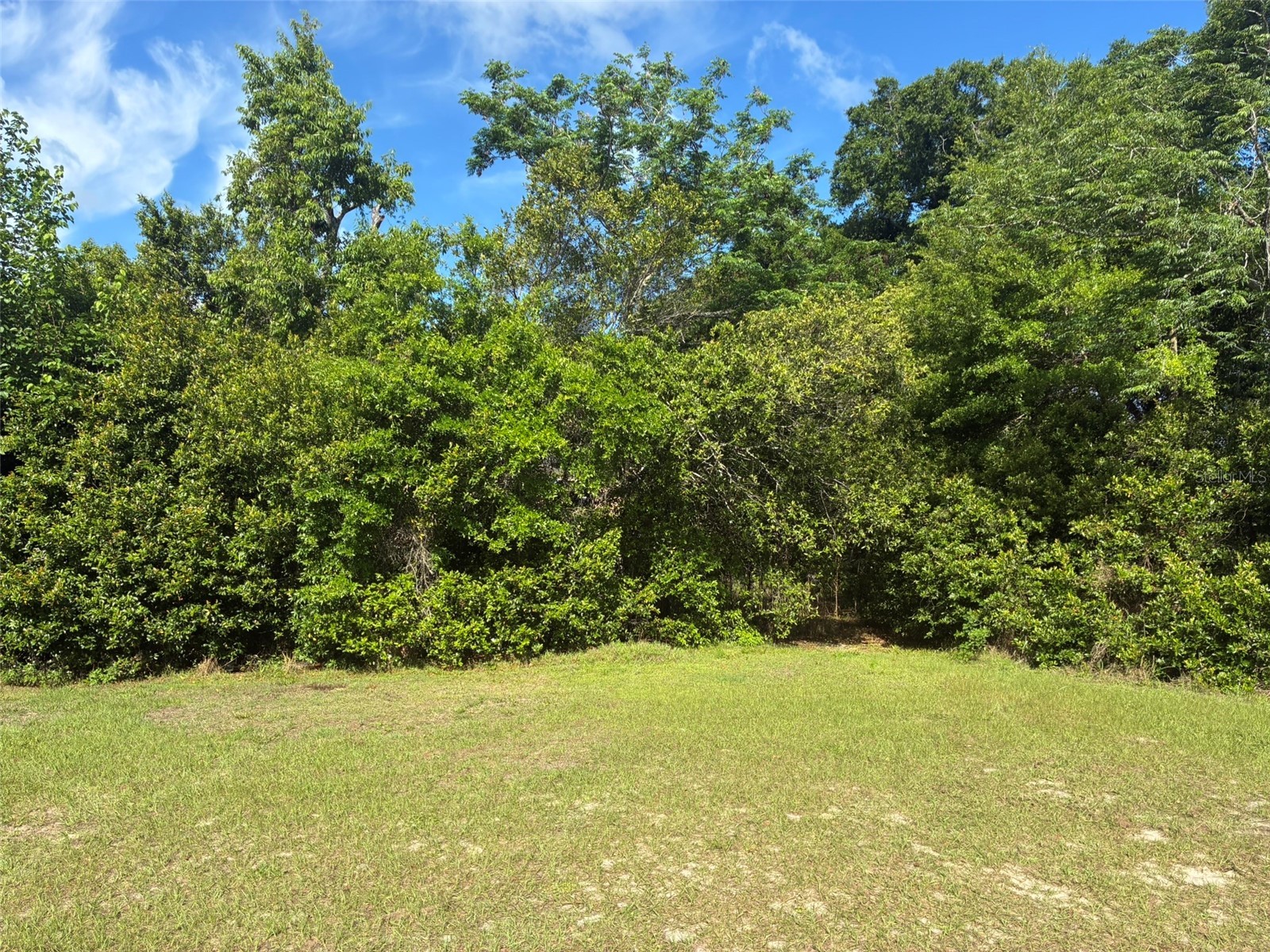 3752 N Orange Blossom Trail Mount Dora FL 32757 O6398716 image3