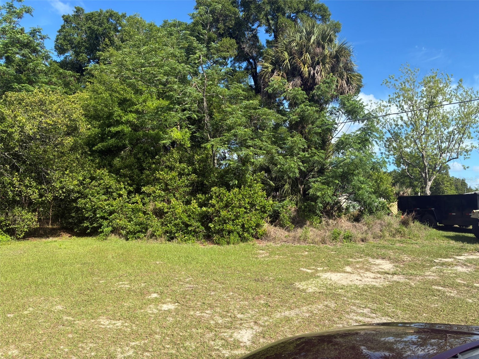 3752 N Orange Blossom Trail Mount Dora FL 32757 O6398716 image4