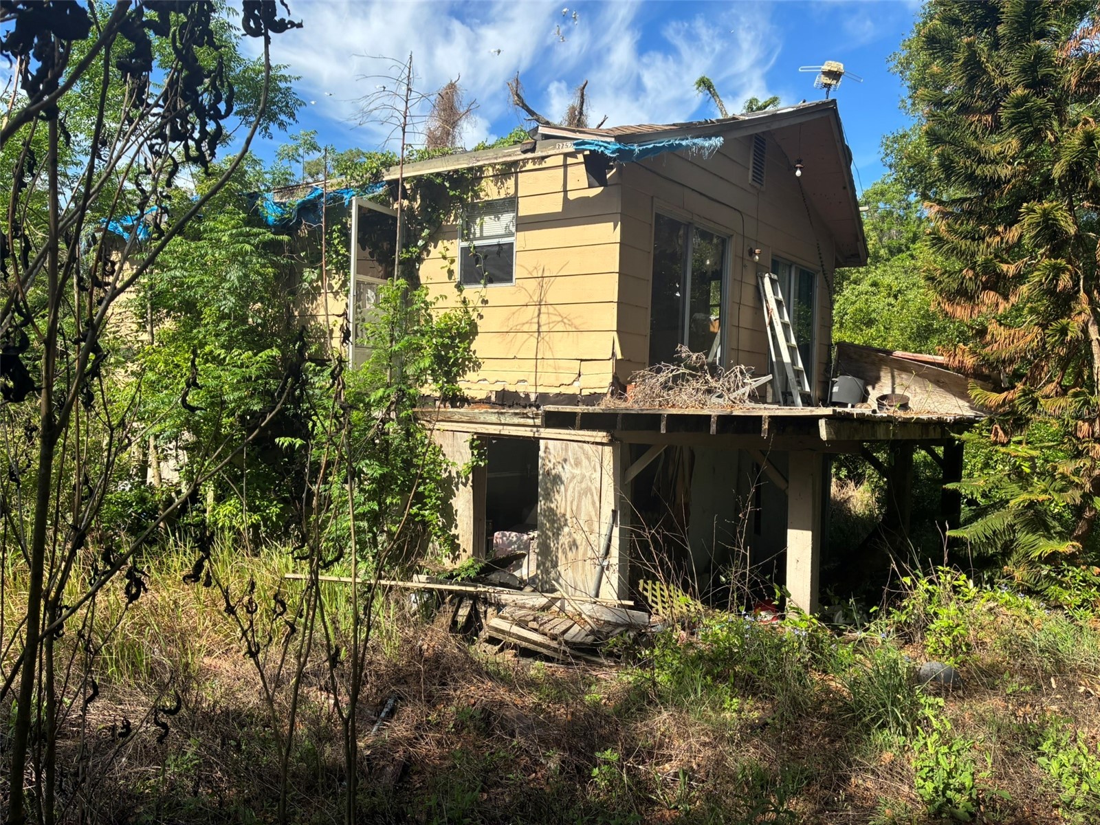 3752 N Orange Blossom Trail Mount Dora FL 32757 O6398716 image5