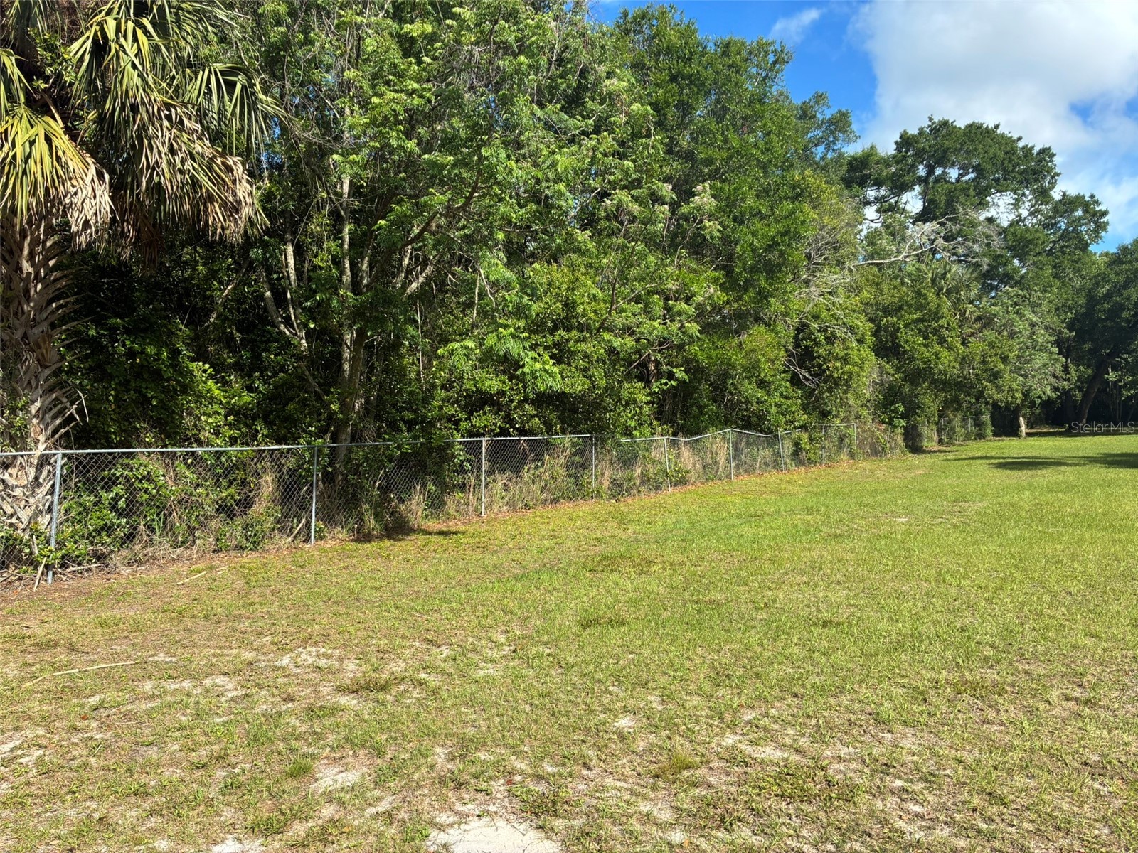 3752 N Orange Blossom Trail Mount Dora FL 32757 O6398716 image7