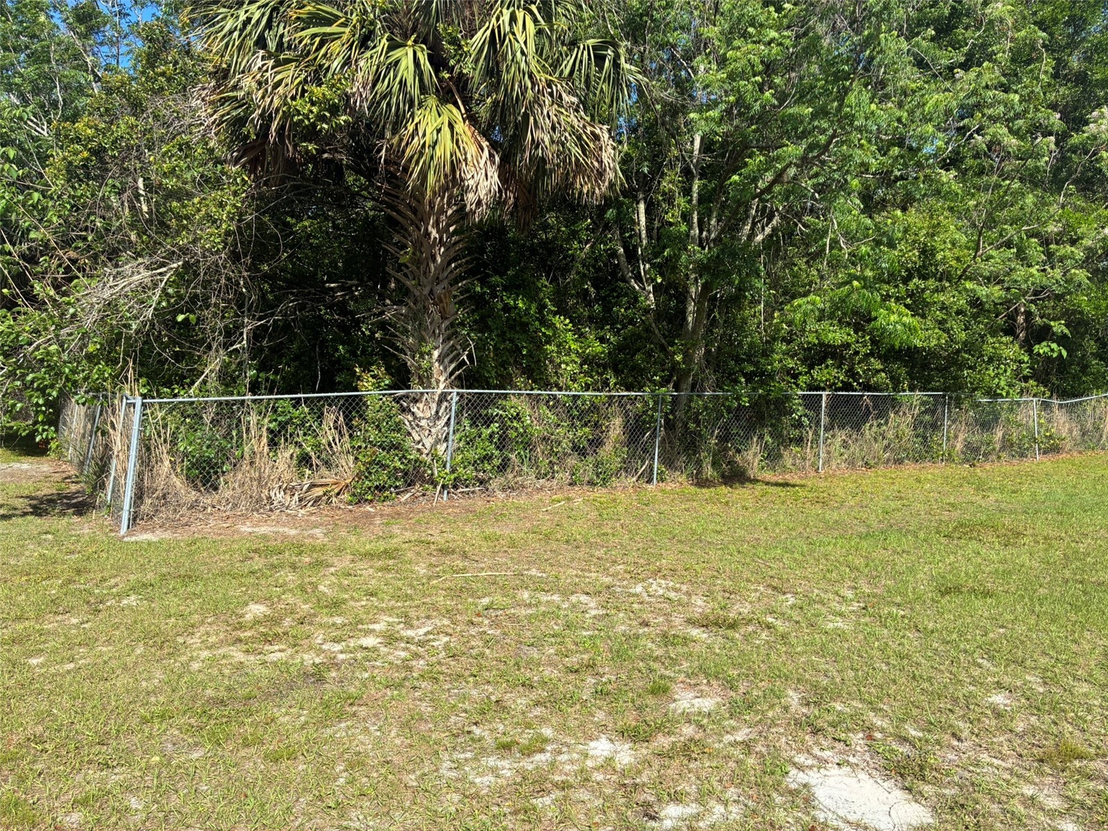 3752 N Orange Blossom Trail Mount Dora FL 32757 O6398716 image9