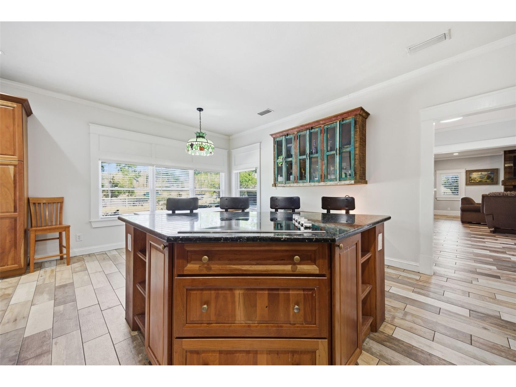 3752 Old Keystone Road Tarpon Springs FL 34688 TB8461683 image12